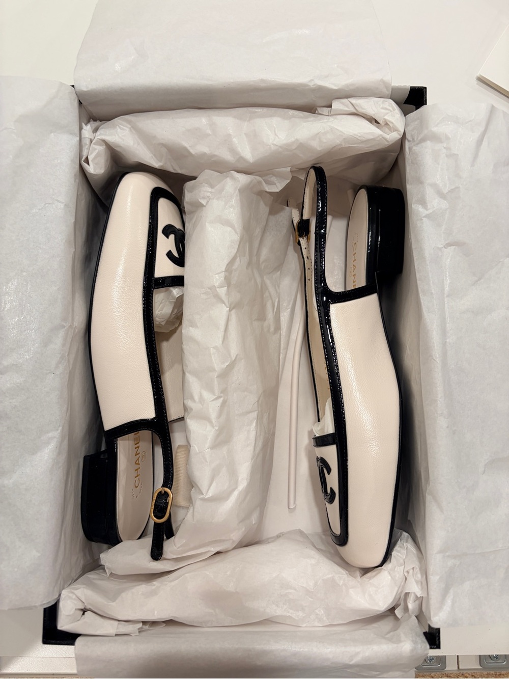 Pre-Fall/Winter 2026 Blazy Slingback Flats - Picture 3 of 6